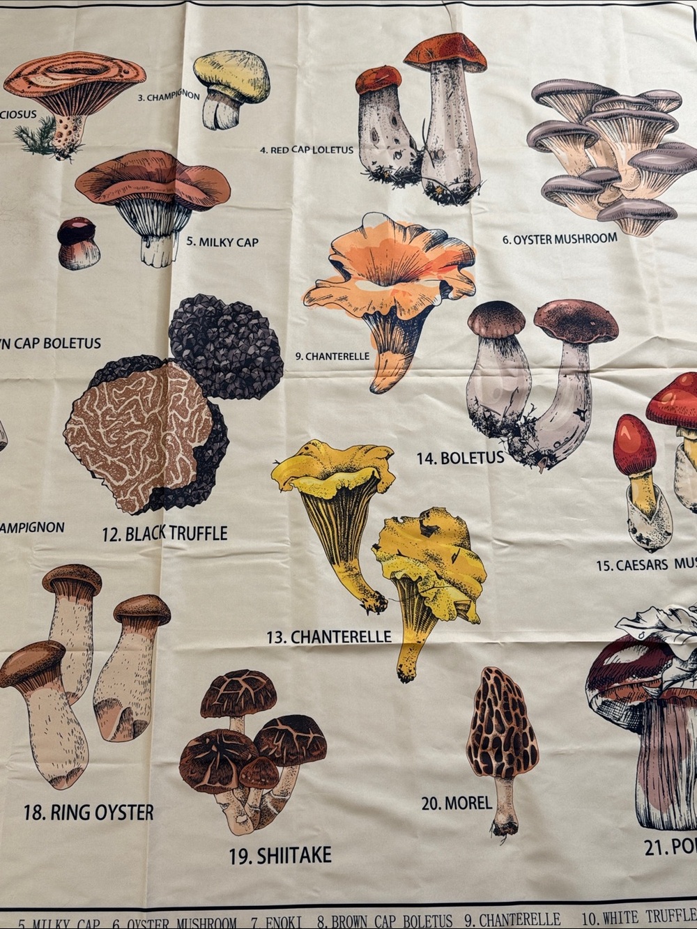 MUSHROOM BOTANICAL FABRIC WALL HANGING 58.5” x 50” COTTAGECORE FUNGI - Picture 9 of 11